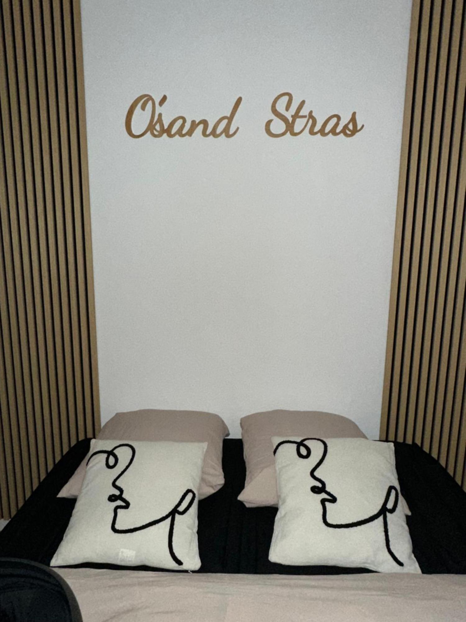 O Sand Stras Studio 25M Carre Strasbourg Extérieur photo